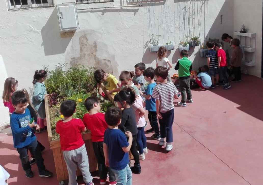"Concienciados con el Huerto" CEIP Reyes Católicos