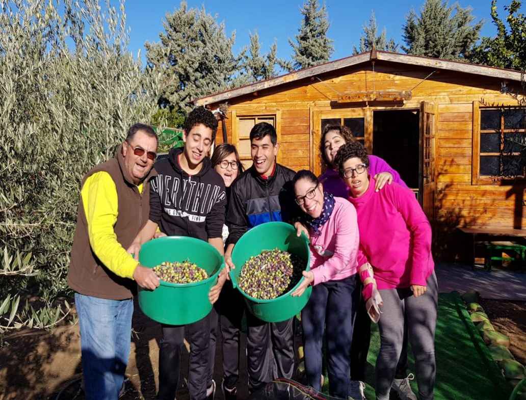 Apadrinaunolivo.org