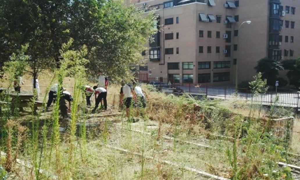 “Huerto, Salud y Medio Ambiente” · IES Pradolongo, Madrid